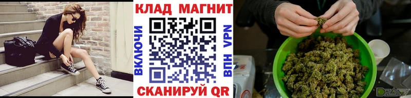 Виды наркотиков купить Бологое ГАШИШ  Псилоцибиновые грибы  Меф  Конопля  КОКАИН 