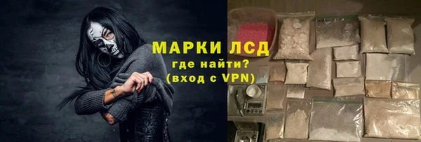 ECSTASY Алзамай