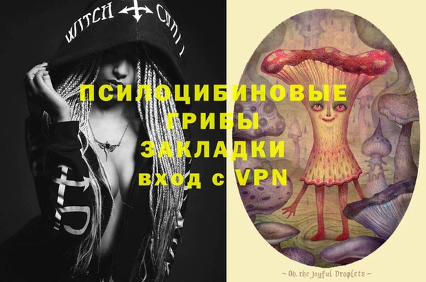 бошки Алексеевка