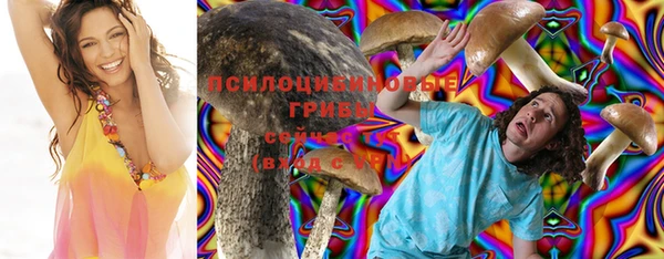 ECSTASY Алзамай