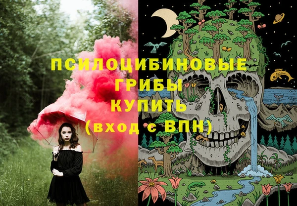бошки Мегион